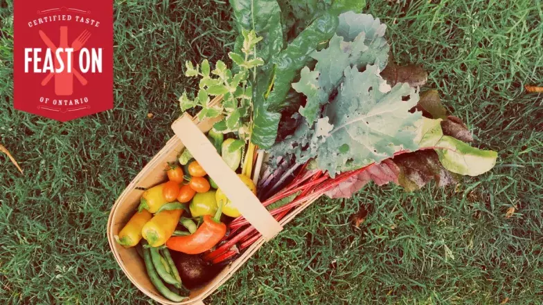 feast on logo and photo of basket full of vegetables