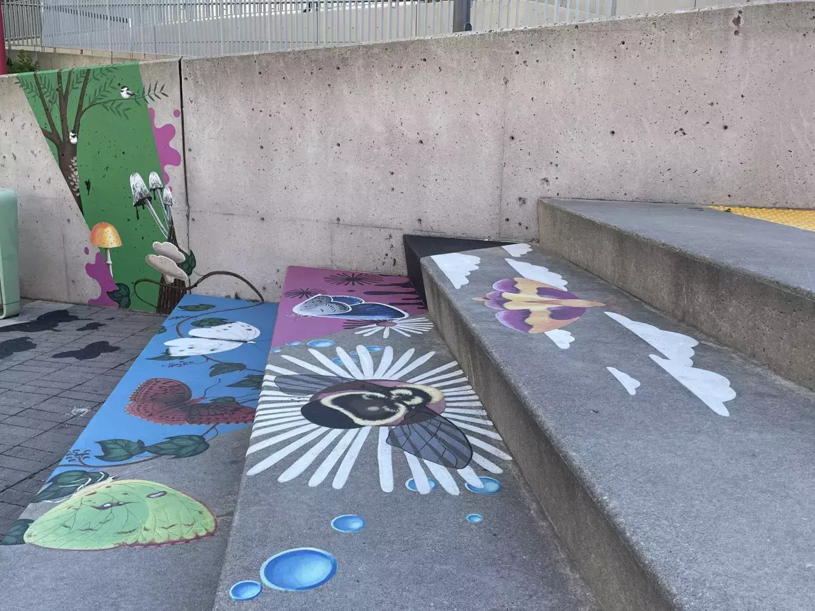 Colourful paintings on stairs leading to the lower level of Canada Lands Square. There's fun designs of various flowers, birds and insects. 